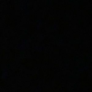 Meet your Posher, Thalia